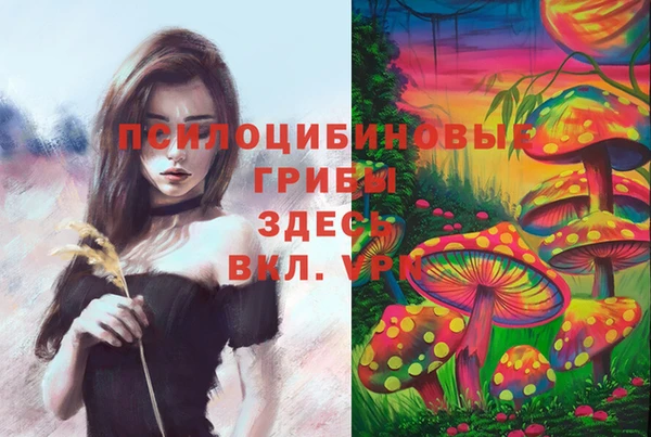 мескалин Алексин