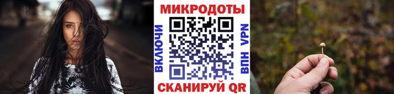 Псилоцибиновые грибы Psilocybe  Пошехонье 